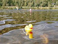 Ducky gaat ook mee zwemmen