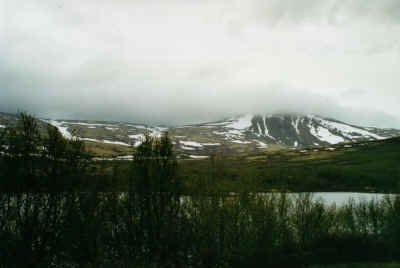 2001 06 21 I3 17 E6 3 dovrefjell small