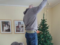 Martin zet de kerstboom op, poezels helpen